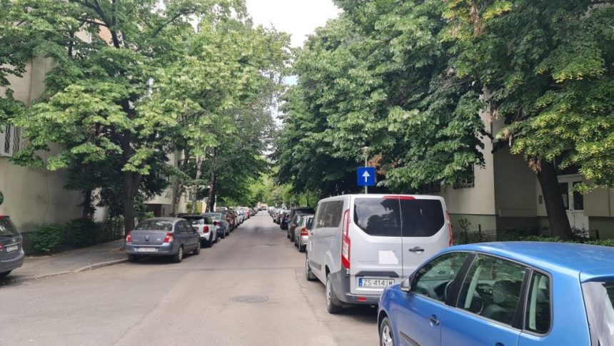 Copacii bătrâni din cartierele comuniste - Property INDEX